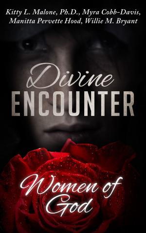 Book cover of Divine Encounter