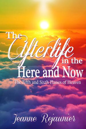 bigCover of the book The Afterlife in the Here and Now -The 5th and 6th Planes of Heaven by 