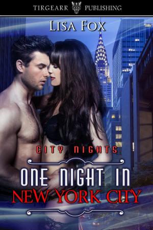 Cover of the book One Night in New York City by Kristi Ahlers