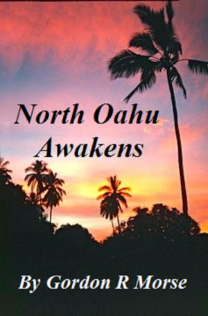 Cover of the book North Oahu Awakens by Mark William Doyle
