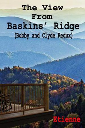 Cover of the book The View From Baskins' Ridge (Bobby and Clyde Redux) by M.A. Stone