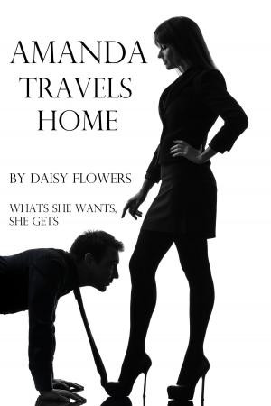 Cover of the book Amanda Travels Home by Michelle Celmer