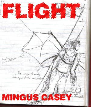 Cover of the book Flight by Mike Robbins