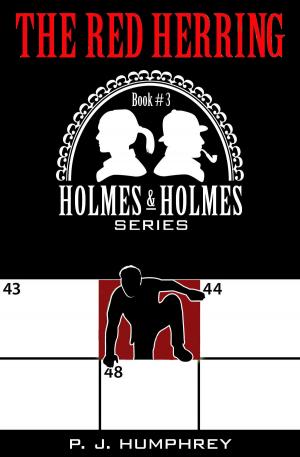 Cover of the book The Red Herring (3rd book in the series Holmes and Holmes) by ML Stewart