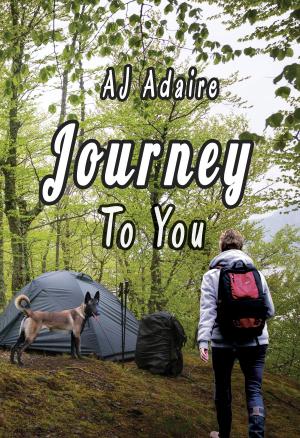 Cover of the book Journey To You by AJ Adaire