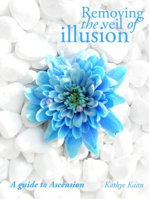 bigCover of the book Removing The Veil Of Illusion: A Guide To Ascension by 