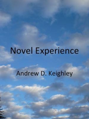 Cover of the book Novel Experience by L N T Annan