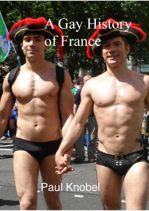 Cover of the book A Gay History of France by Benjamin Franklin