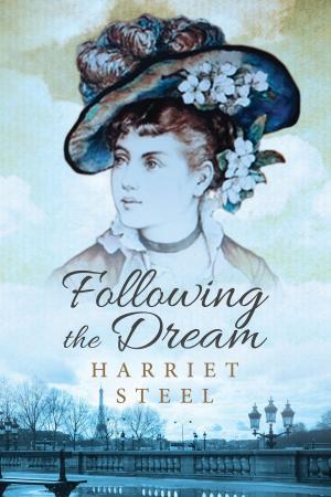 Cover of the book Following the Dream by Jo Goodman