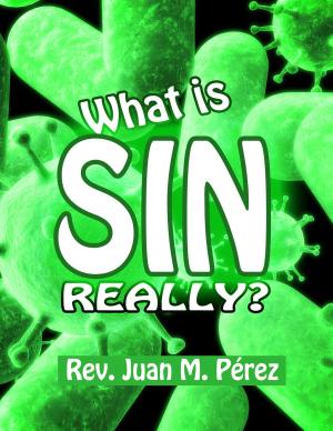 bigCover of the book What Is Sin Really? by 