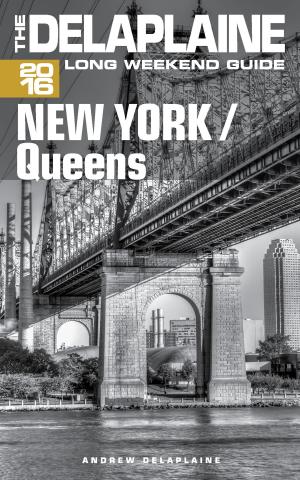 Cover of the book New York / Queens: The Delaplaine 2016 Long Weekend Guide by Jon Stapleton