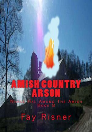 Cover of the book Amish Country Arson by Fay Risner