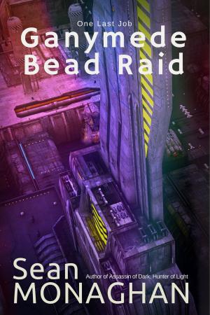 Cover of the book Ganymede Bead Raid by Jill Pastone