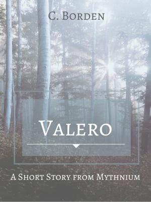 Cover of the book Valero by Victoria Goddard