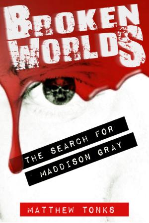 Book cover of Broken Worlds: Vol 01 - The Search for Maddison Gray