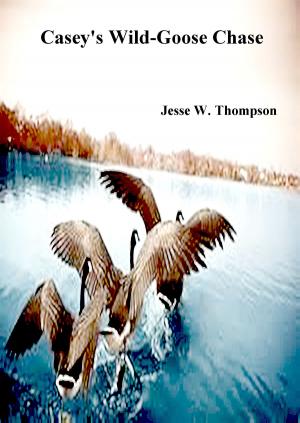 Cover of the book Casey's Wild Goose Chase by Jennifer Ashley