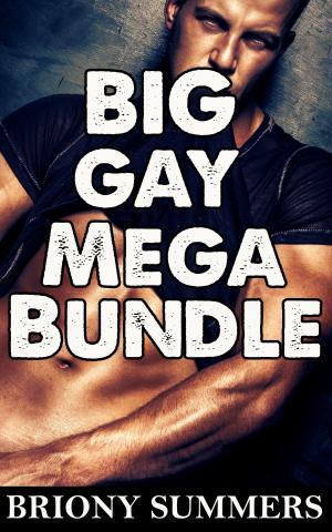 Book cover of Big Gay Mega Bundle (10 Story Collection)