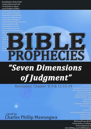 Book cover of Bible Prophecies: Seven Dimensions of Judgment