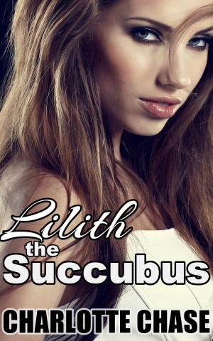 Cover of the book Lilith the Succubus by Felicity Ferras
