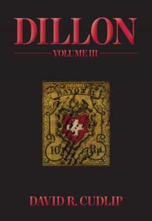 Book cover of Dillon Volume III