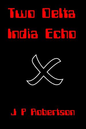 Cover of the book Two Delta India Echo by Michelle Birbeck