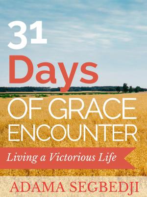 Cover of the book 31 Days of Grace Encounter by Bernadette Snyder