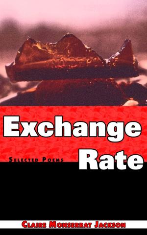 Book cover of Exchange Rate
