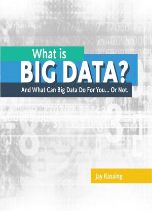 bigCover of the book What Is Big Data by 