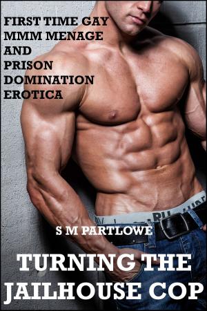 Book cover of Turning the Jailhouse Cop (First Time Gay MMM Menage and Prison Domination Erotica)