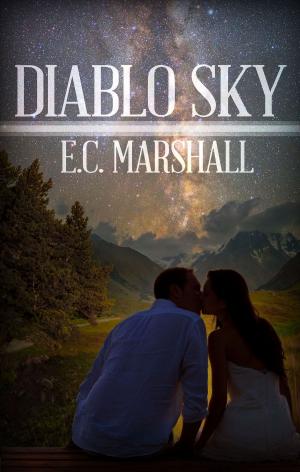 Cover of the book Diablo Sky by D. K.