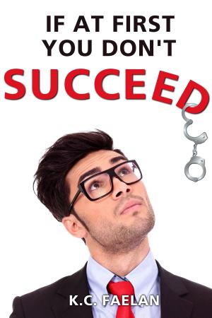 Book cover of If At First You Don't Succeed