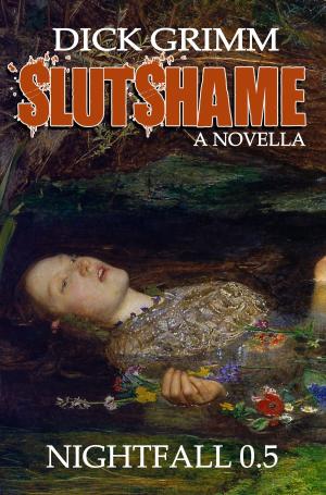 Cover of the book Slutshame by Gérard de Villiers