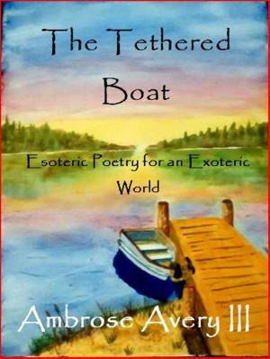 bigCover of the book The Tethered Boat: Esoteric Poetry for an Exoteric World by 
