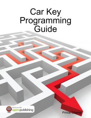 Cover of the book Car Key Programming Guide by Zara Chapman