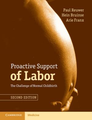 Cover of the book Proactive Support of Labor by Ting-Chung Poon, Jung-Ping Liu
