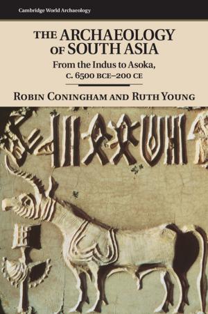 Cover of the book The Archaeology of South Asia by Manuel Llorca-Jaña