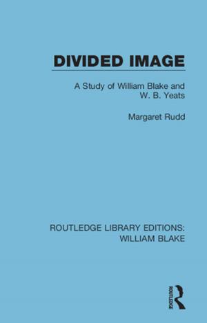 Book cover of Divided Image