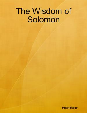 Cover of the book The Wisdom of Solomon by John Noland