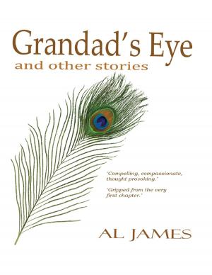 Cover of the book Grandad's Eye: And Other Stories by Peter Anthony