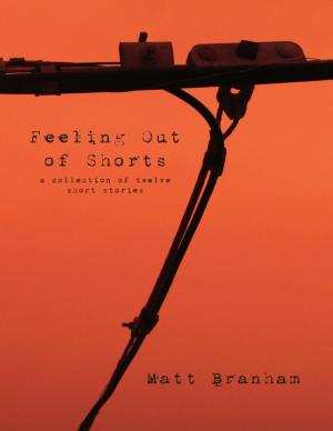 Cover of the book Feeling Out of Shorts: A Collection of Twelve Short Stories by Chris Morningforest, Rebecca Raymond