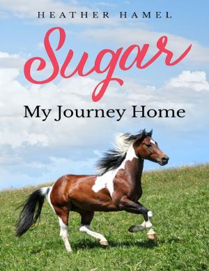 Book cover of Sugar: My Journey Home