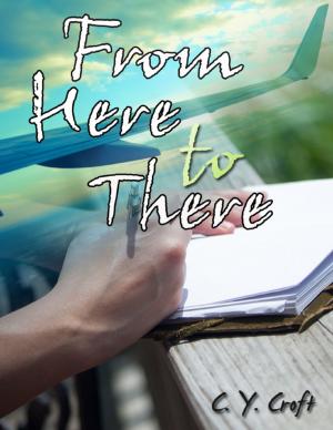 Cover of the book From Here to There by Mary Craig