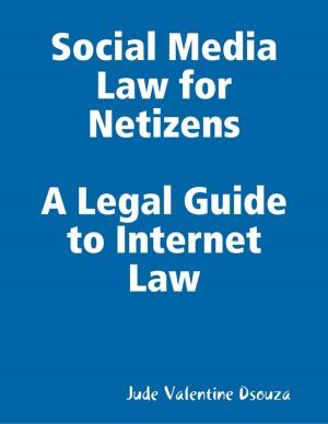 Cover of the book Social Media Law for Netizens by Ethan Koch