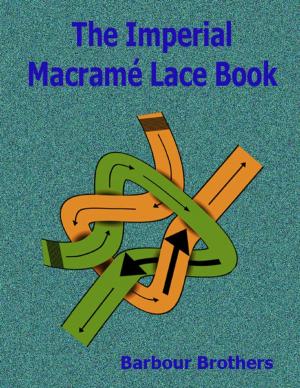 Cover of the book The Imperial Macramé Lace Book by Christophe Thibaud