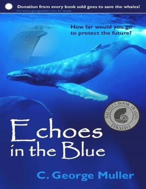 Cover of the book Echoes In the Blue by Roy Long