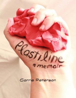 Cover of the book Plastiline by Chris Hawkins