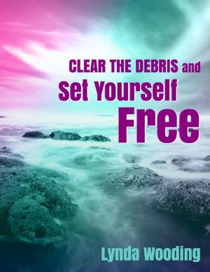 Cover of the book Clear the Debris and Set Yourself Free by RJ Mills