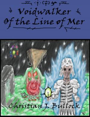 Cover of the book Voidwalker: Of the Line of Mer by Daoud Ahmed Faisal, Muhammed al Ahari