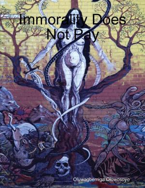 Cover of the book Immorality Does Not Pay by Stephen Amenoff