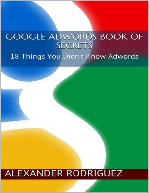 bigCover of the book Google Adwords Book of Secrets: 18 Things You Didn't Know Adwords by 